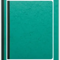 Exacompta 6410E Geschaeftsbuch 32x25 80S kariert paginie - Farben sortiert