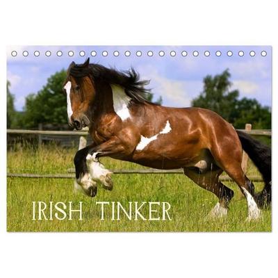 Irish Tinker (Tischkalender 2026 DIN A5 quer), CALVENDO Monatskalender