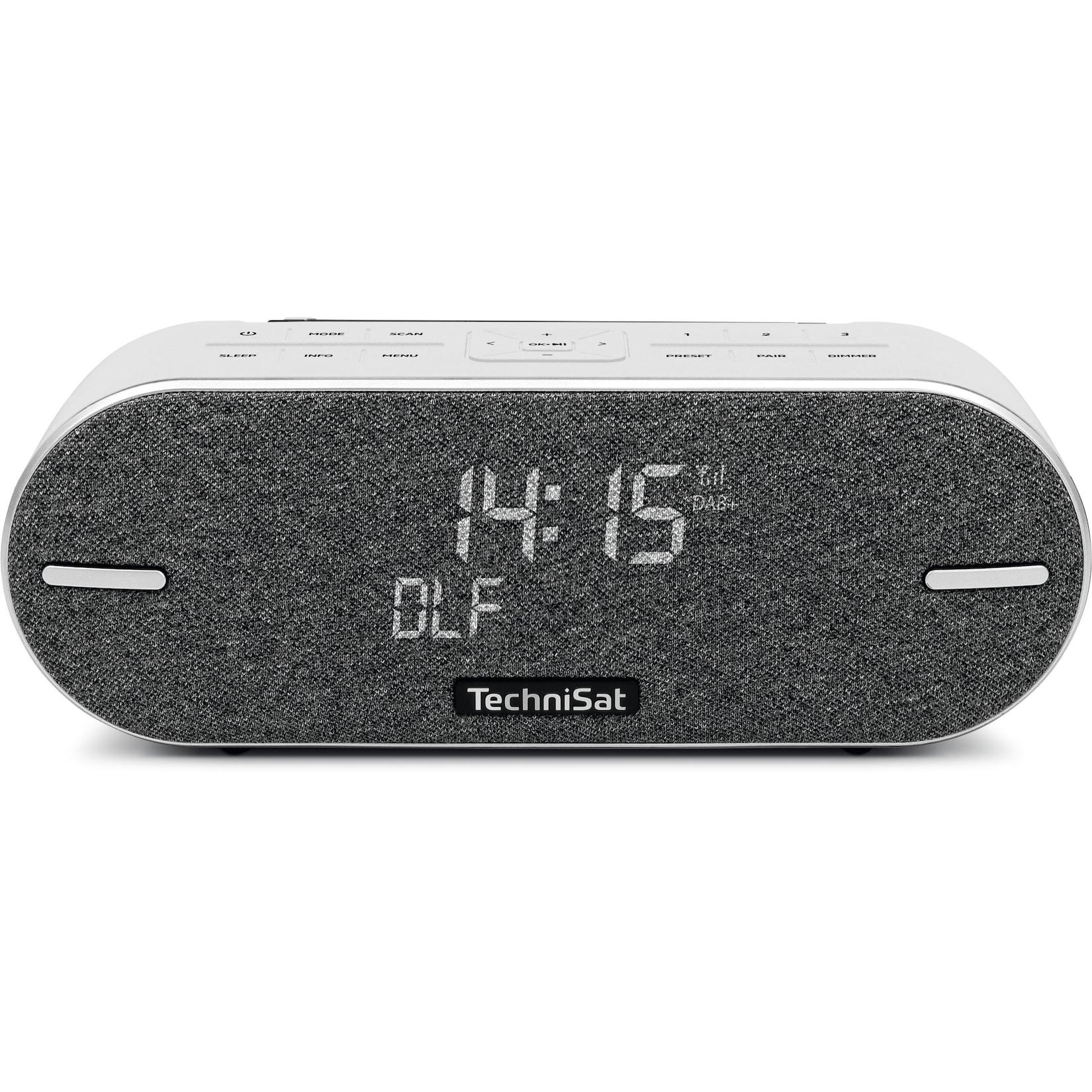 TechniSat DIGITRADIO BT 2 Bluetooth-Lautsprecher mit DAB+, Akku lichtgrau lichtgrau