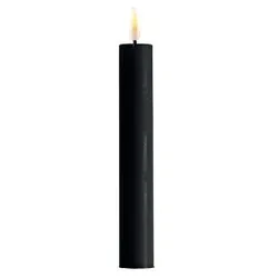 Deluxe Homeart LED 2er Set Stabkerze Real Flame, 15 cm, Ø 2,2 cm, 2er Set, schwarz