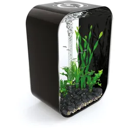 biOrb LIFE 60 MCR schwarz (72060)