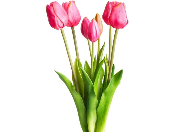 Kunstpflanze OTTO HOME Maiva , bunt (beauty), B:20cm H:47cm T:20cm, Kunststoff, Kunstpflanzen, Kunstpflanze, Tulpenbündel im 7er-Set