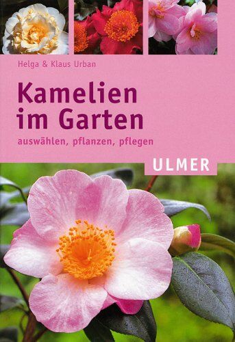 Helga Urban - Kamelien im Garten. Auswählen, pflanzen, pflegen - Preis vom 09.10.2026 07:28:09 h