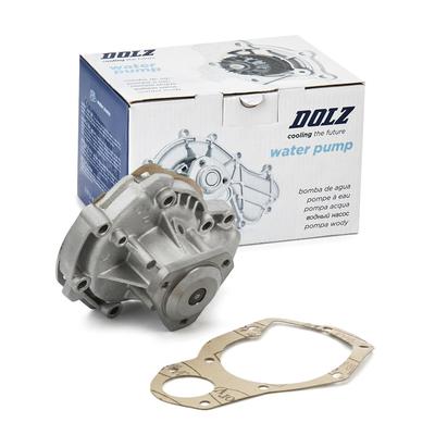 DOLZ Wasserpumpe RENAULT R266 7701465513,8671017748 Kühlmittelpumpe,Kühlwasserpumpe