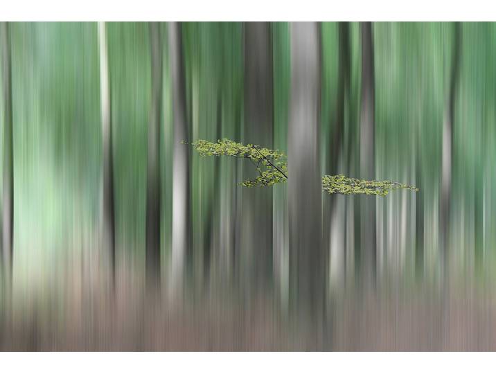 Fototapete PAPERMOON Photo-Art HUIB LIMBERG, SUMMERMHERING , bunt, B:1,5m L:1,11m, Vlies, Tapeten, Fototapete