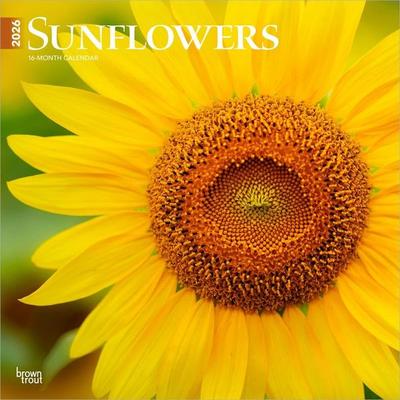 Sunflowers 2026 12 X 24 Inch (Hanging) Monthly Square Wall Calendar Plastic-Free