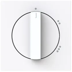 Busch-Jaeger Zentralscheibe 2542 DR/02-44G