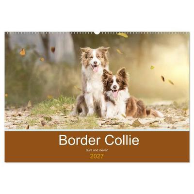 Border Collie - Bunt und clever! (Wandkalender 2027 DIN A2 quer), CALVENDO Monatskalender
