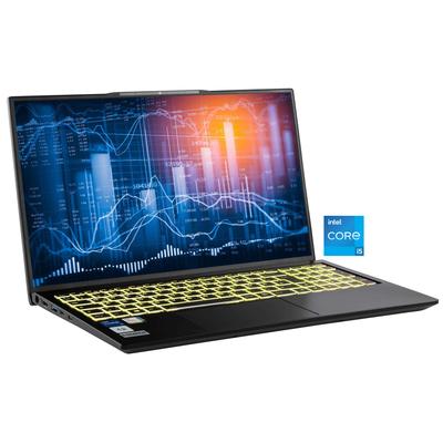 CAPTIVA Business-Notebook "Business/Office I10-1433GE", silberfarben, 32 GB RAM 2.000 GB SSD, Core i5, ohne Betriebssystem, Notebooks