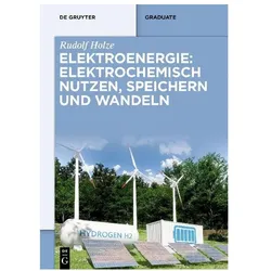 Elektroenergie: Elektrochemisch nutzen, speichern und wandeln, Fachbücher von Rudolf Holze