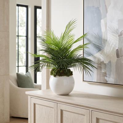 Creative Labs Palm Arrangement in Fiberstone Pot with Moss