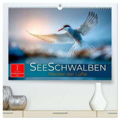 Seeschwalben - Meister der Lüfte (hochwertiger Premium Wandkalender 2027 DIN A2 quer), Kunstdruck in Hochglanz