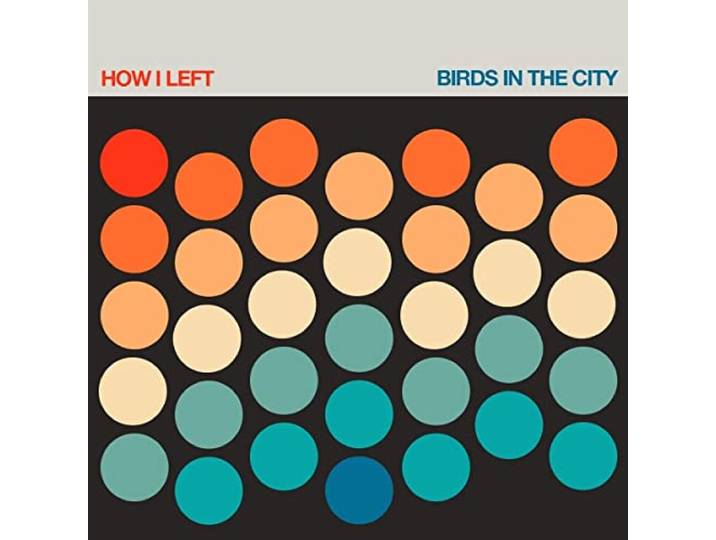 Birds in the City