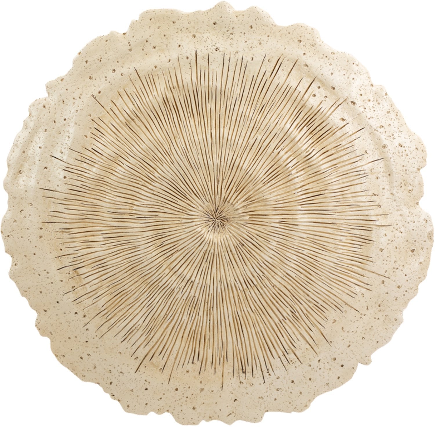 Wanddecoratie Arco M