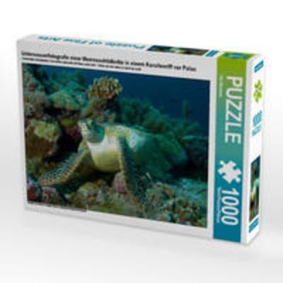 CALVENDO Puzzle Unterwasserfotografie einer Meeresschildkröte in einem Korallenriff vor Palau 1000 Teile Lege-Größe 64 x 48 cm Foto-Puzzle Bild von