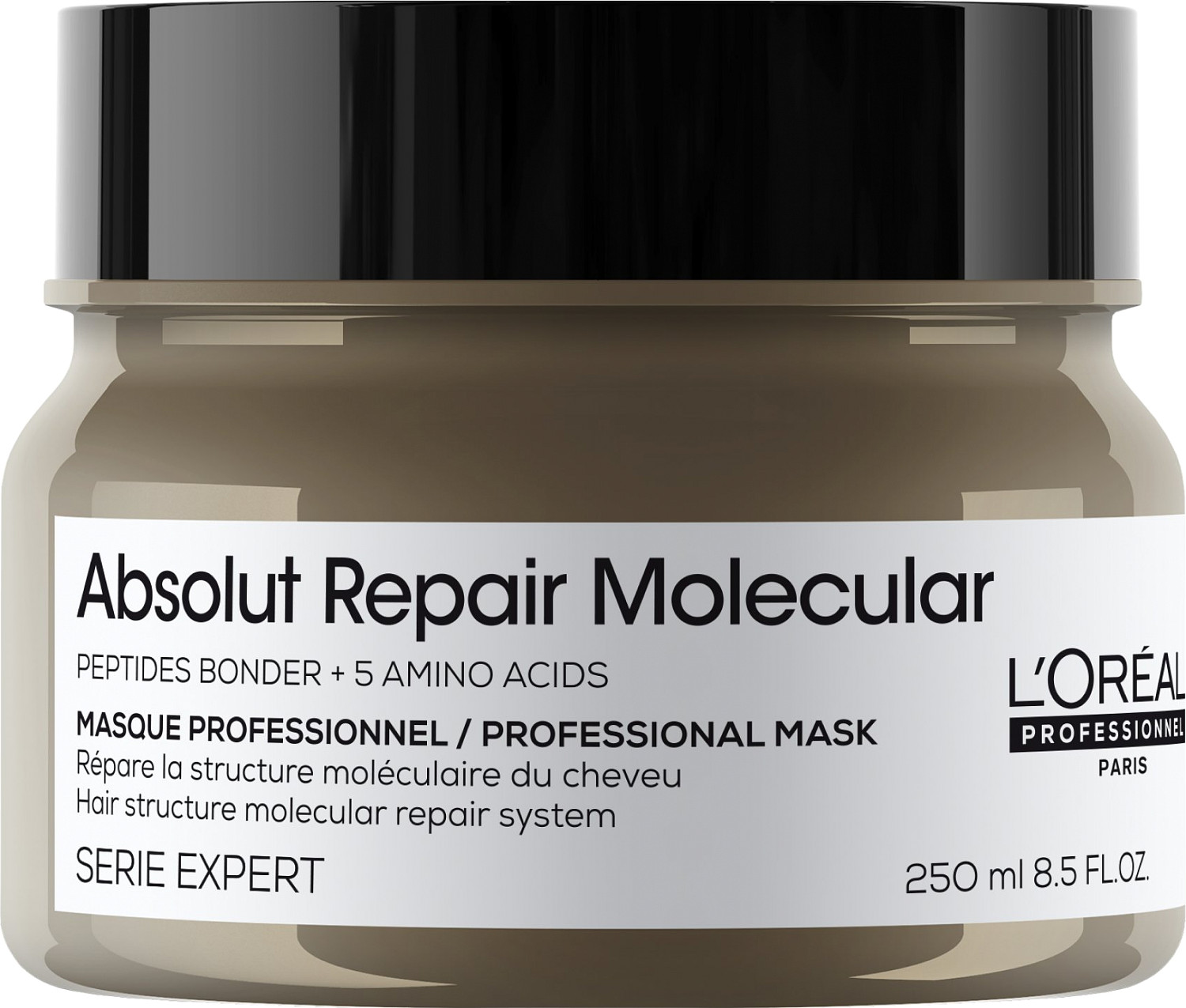 Loreal Absolut Repair Molecular Mask 250 ml E41730
