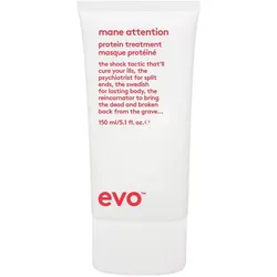 Evo, Haarmaske, Proteinmaske für die Haare (150 ml)