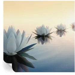 FOTOTAPETE 250x250 cm - Friedliche Aussicht