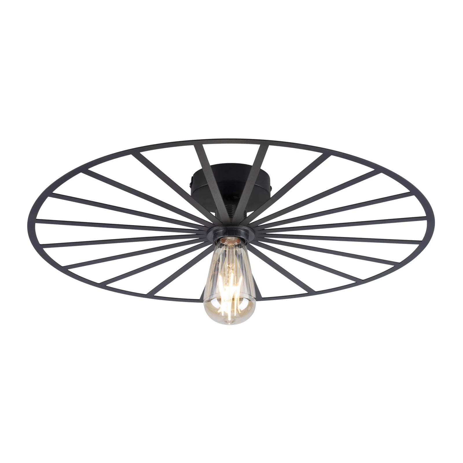 Paul Neuhaus Isabella Plafondlamp met LED - Zwart - Ø 50 cm