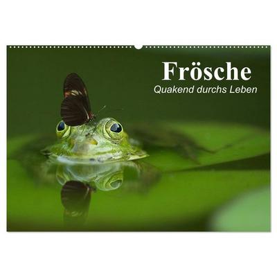 Frösche. Quakend durchs Leben (Wandkalender 2026 DIN A2 quer), CALVENDO Monatskalender