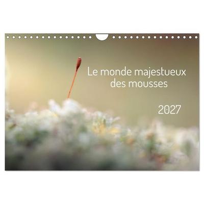 Le monde majestueux des mousses (Calendrier mural 2027 DIN A4 vertical), CALVENDO calendrier mensuel