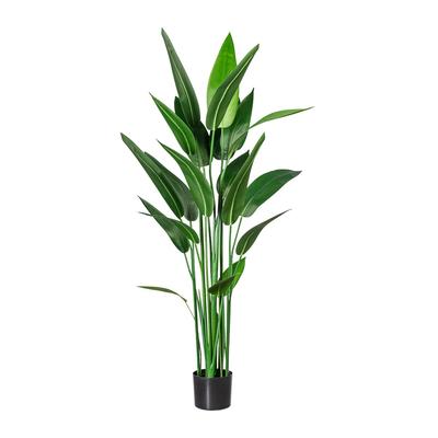 CREATIV green Künstliche Pflanze Wassercanna 140cm im Topf