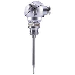 Jumo Widerstandsthermometer 00438408
