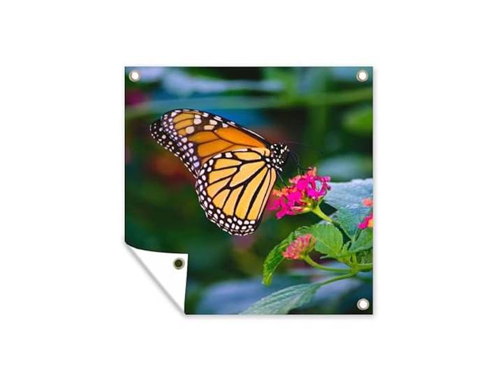 Tuinposter - 200x200 cm - Vlinders - Bloem - Natuur