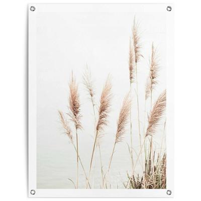 Poster REINDERS "Pampasgras", beige (farbe bild(er): beige), B:60cm H:80cm T:0,1cm, Leinwand, Bilder, Poster, Outdoor für Garten oder Balkon