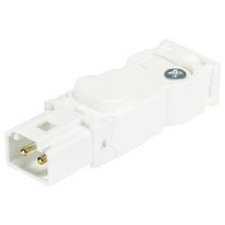Wieland Electric 91.922.2053.0 Steckverbinder