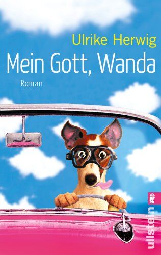 Ulrike Herwig - Mein Gott, Wanda: Roman - Preis vom 30.09.2026 22:30:23 h