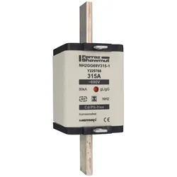 Mersen NH-Sicherungseinsatz NH2GG69V100-1