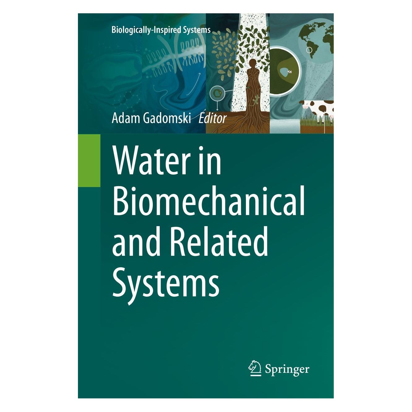 Springer Water in Biomechanical and Related Systems (Englisch, Hardcover, Adam Gadomski) (9783030672263)