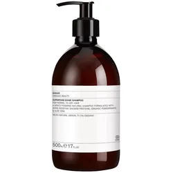 Evolve Organic Beauty, Shampoo, Haarpflege Superfood Shine Shampoo 500 ml (Flüssiges Shampoo, 500 ml)