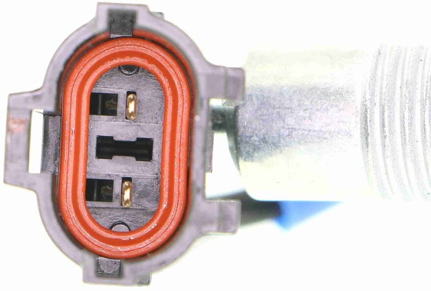 Schalter, Rückfahrleuchte VEMO Qualität VEMO V51-73-0004