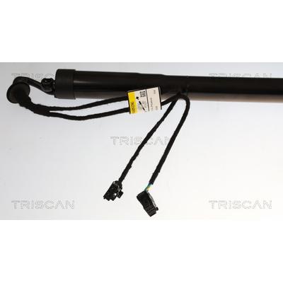 TRISCAN 8710 38302 für Citroën