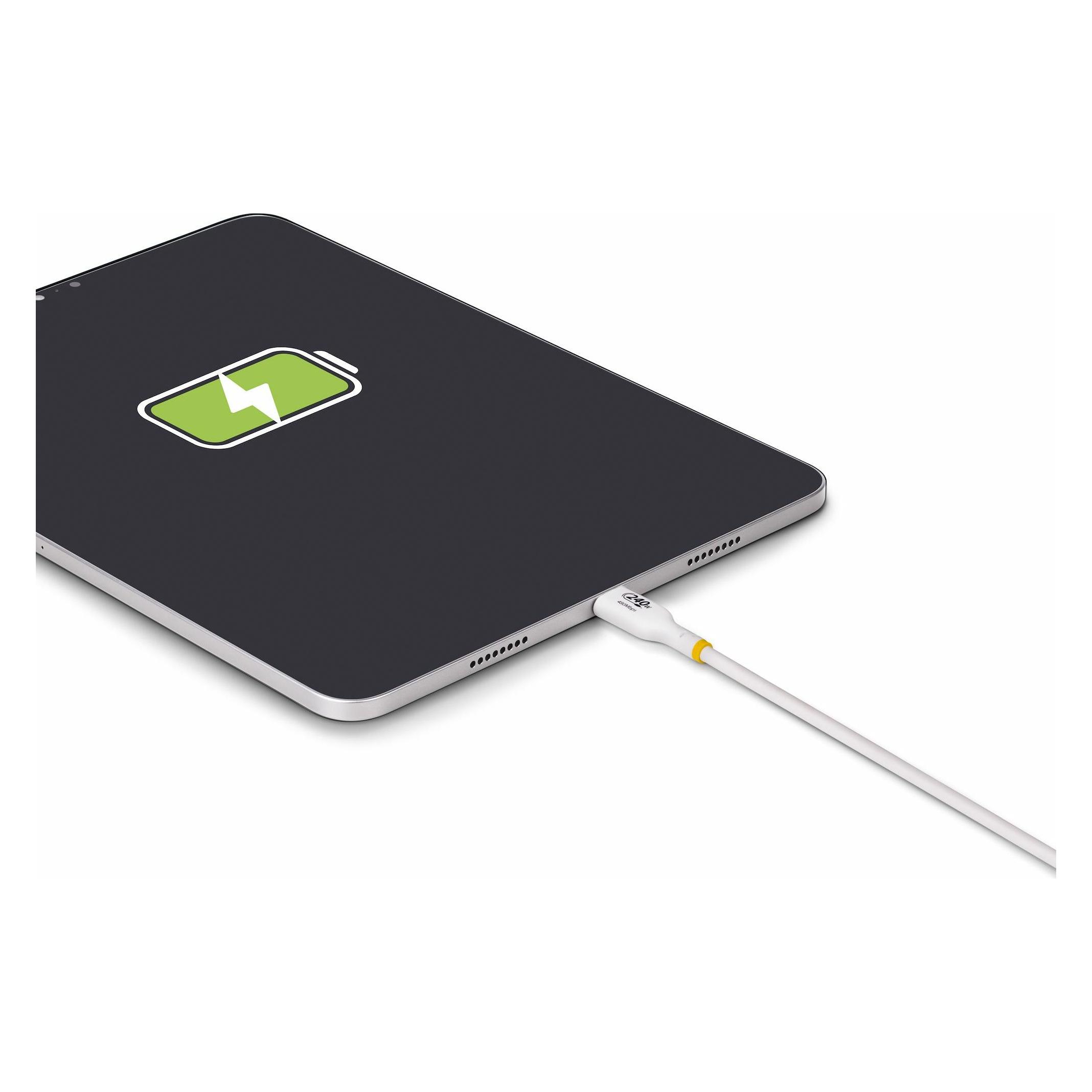 StarTech USB C - USB C (2 m, USB 2.0, 240 W) (USB2EPR2MW)