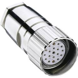 Lumberg Automation 2135-SR Sensor-/Aktor-Steckverbinder, unkonfektioniert M23 Kupplung, gerade Polzahl Sensoren: 19 1 St.