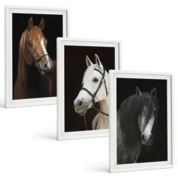 BILDER SET 3er Set - 40x60 cm Weißer Rahmen - Porträts von Pferden in verschiedenen Fellfarben