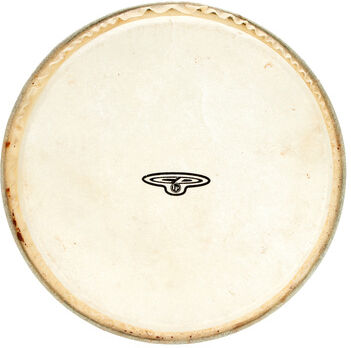 "LP CP221B Bongo Head 7"" "