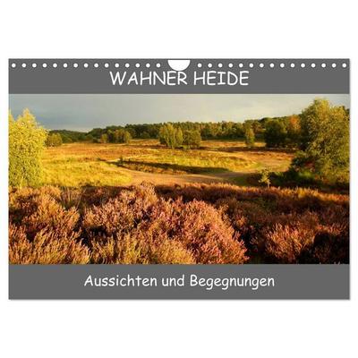 Wahner Heide - Aussichten und Begegnungen (Wandkalender 2026 DIN A4 quer), CALVENDO Monatskalender