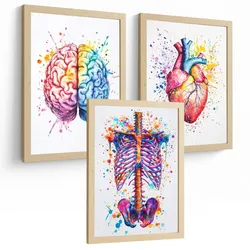 POSTER Set aus 3 Anatomie Mensch Drucke und Wandbilder mit Gehirn Herz Rippen Wirbelsäule Lebendiges Aquarell Design Wanddekoration Größe Rahmenlos A3