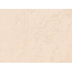 Fineza Betonspachtel 20 kg cream inkl. Mattlack und Grundierung BS20CRMP