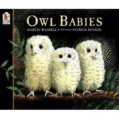 Owl Babies, Taschenbuch von Martin Waddell, Candlewick Press, 978-0-7636-1710-3