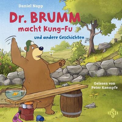 Dr. Brumm macht Kung-Fu (Dr. Brumm) - Daniel Napp,Judith Ruyters, Audio, 9783844944815