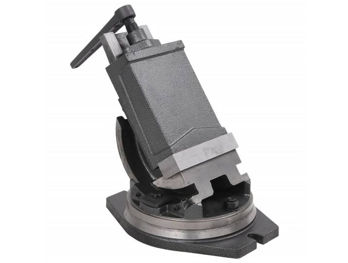 vidaXL 2-Achsen-Schraubstock Kippbar 160 mm