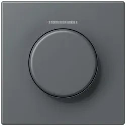 Jung Abdeckung mit Lichtleiter LC 1940 KO5 202
