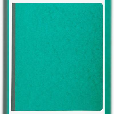 Exacompta 4420E Heft für Postausgang 32x27cm 80S - Farben sortiert
