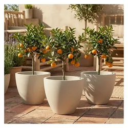 Ethick, Blumentopf, 3er-Set Moderner Pflanzkübel Rund Ø58cm in Sand, Blumentopf 86L aus Kunststoff für Innen & Aussen (58 x 50 cm)
