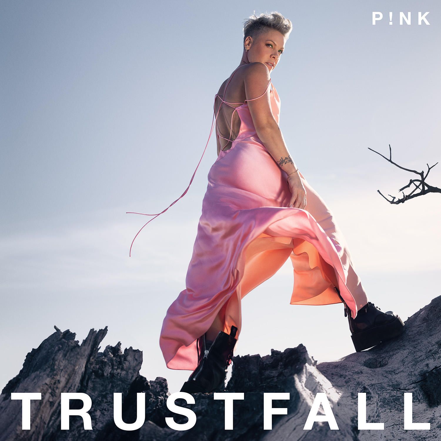 SONY MUSIC ENTERTAINMENT GERMANY GmbH Trustfall 877265